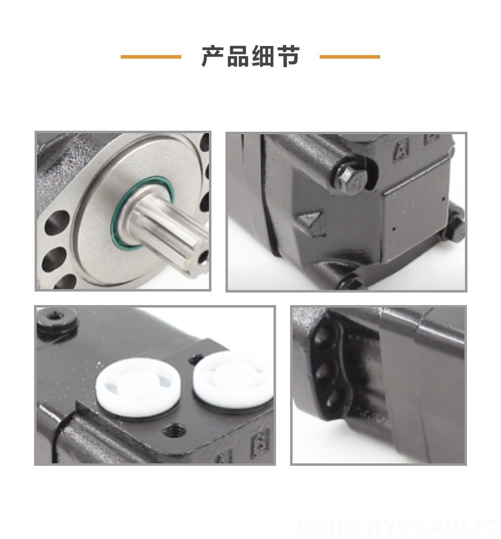 博信华盛摆线液压马达 100 cc/r 50 Lpm 液压马达